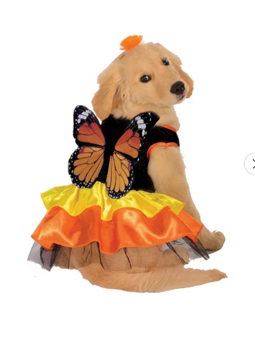 Pet Butterfly Costume Dress for Dogs in Orange and Yellow